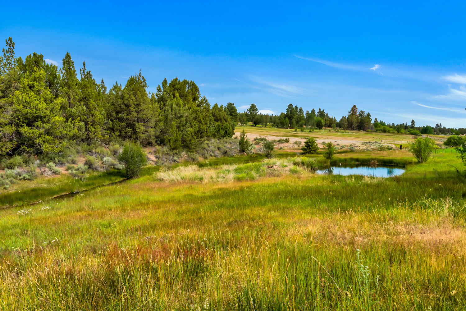 Fawn Run - Residential