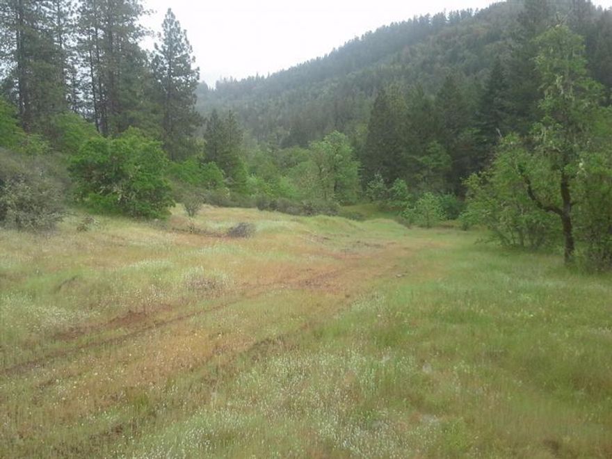 45+ acres. This property has frontage on Crowfoot Creek. Fantastic views of the surrounding hills. Owner may carry. Price with owner carry is $110,000. All information is deemed accurate but not verified, anyone considering the purchase of this property should perform their own investigation into the uses and condition of the property. Listing agent is related to seller.
