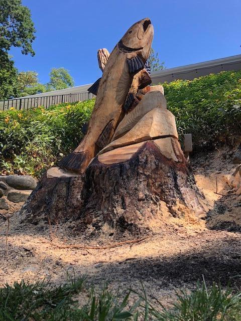 Zottola Subdivision - Residential