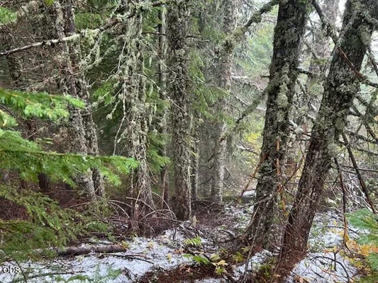 FIR ST 2820, SWEET HOME, OR 97386 - Image bd5f7c541f65d0514ba8a75f3b0cd7ad/3394006969