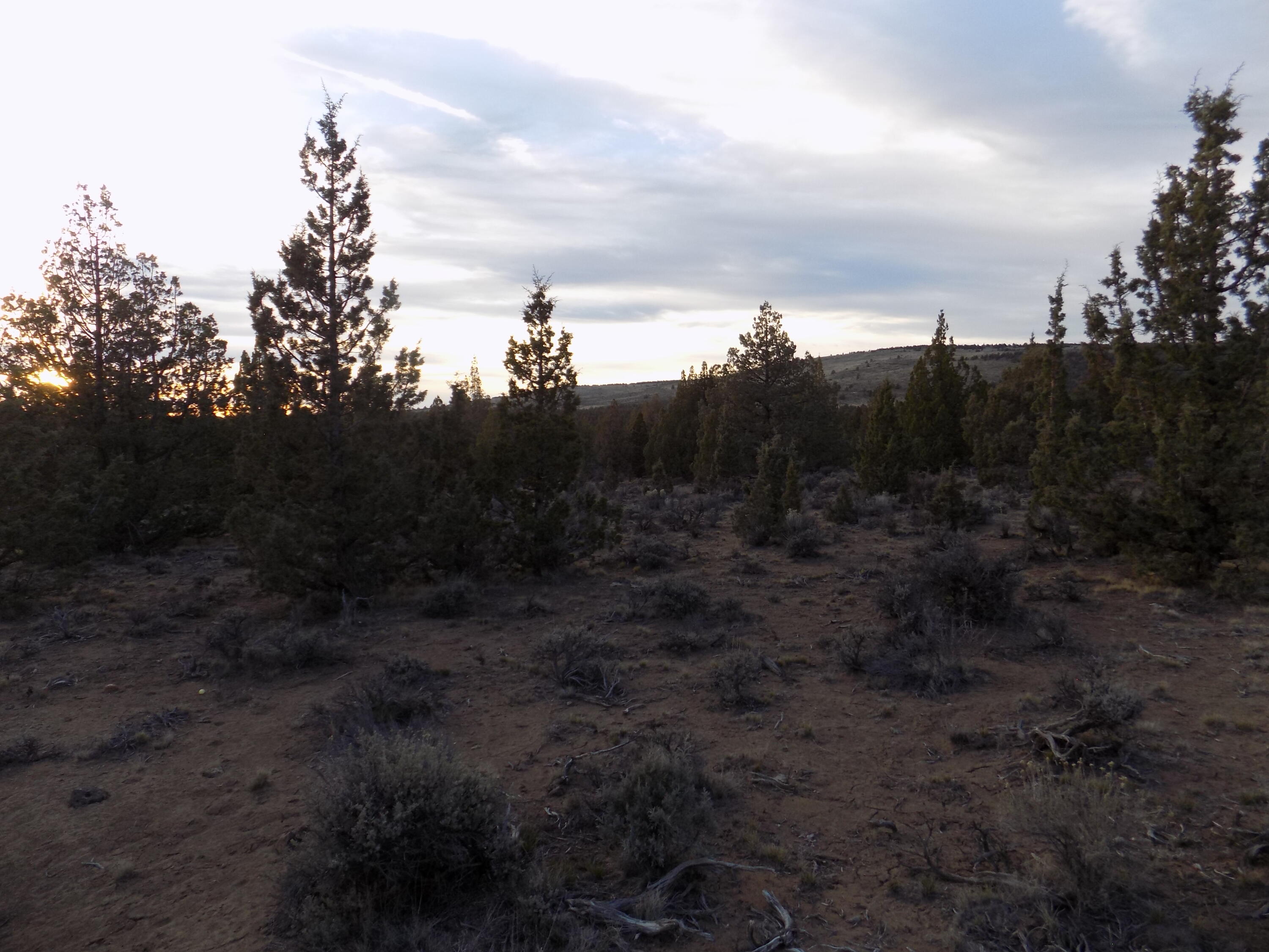 1100 GoldenView Ranch 1100