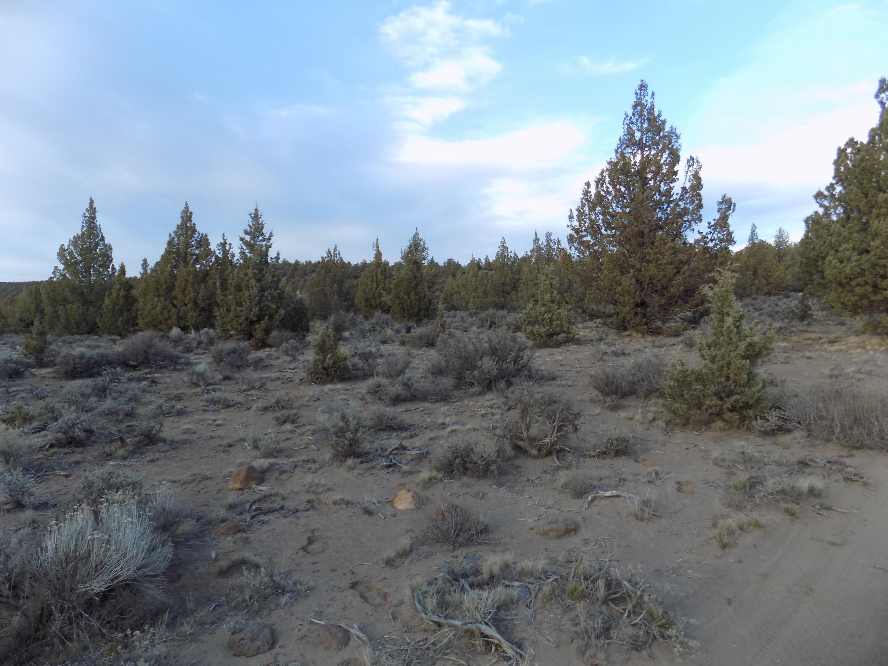 1100 GoldenView Ranch 1100