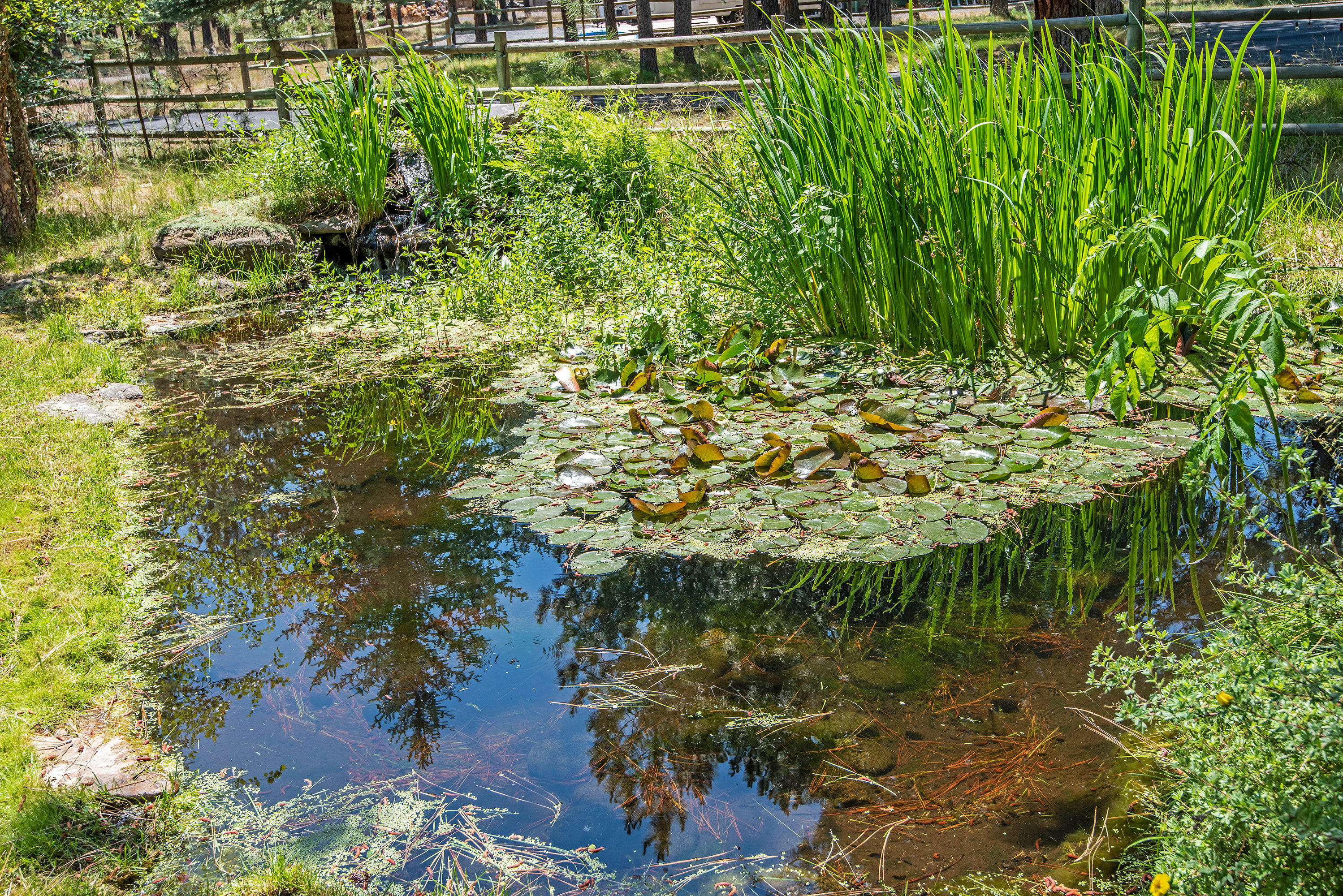 Tollgate - Residential