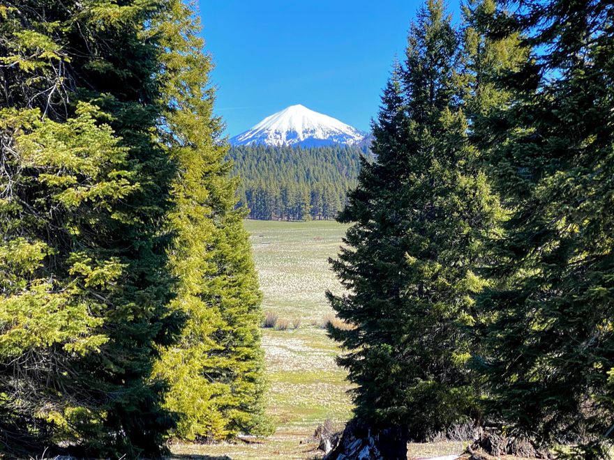 Located in the highly desired Cascade Mountains, Owens Meadow is still protected to this day by a Forest of towering conifers. The 844 acre Circle Z Ranch is fully fenced, The 426 acres of water rights from creeks, springs and natural sub-irrigation allows for lush green pastures through the summer months. Supporting 250 plus head, Summer grazing  has been the primary use of the ranch  and  has been since cattle were introduced in the 1800's.  Comprised of 4 contiguous parcels allowing for more than one Home, the ranch is zoned EFU.
twenty miles from the beautiful town of Ashland Oregon, and the I-5 corridor Makes for  easy access to shopping, medical facilities and the Rogue Valley International Airport. Howard Prairie Lake and Resort is just five miles to the south. At an elevation of 4440 feet the Ranch is bordered on all but two points by public land. There's a Current estimates of 700 MBF of marketable timber on the property. Additional Roads offer multiple access points.