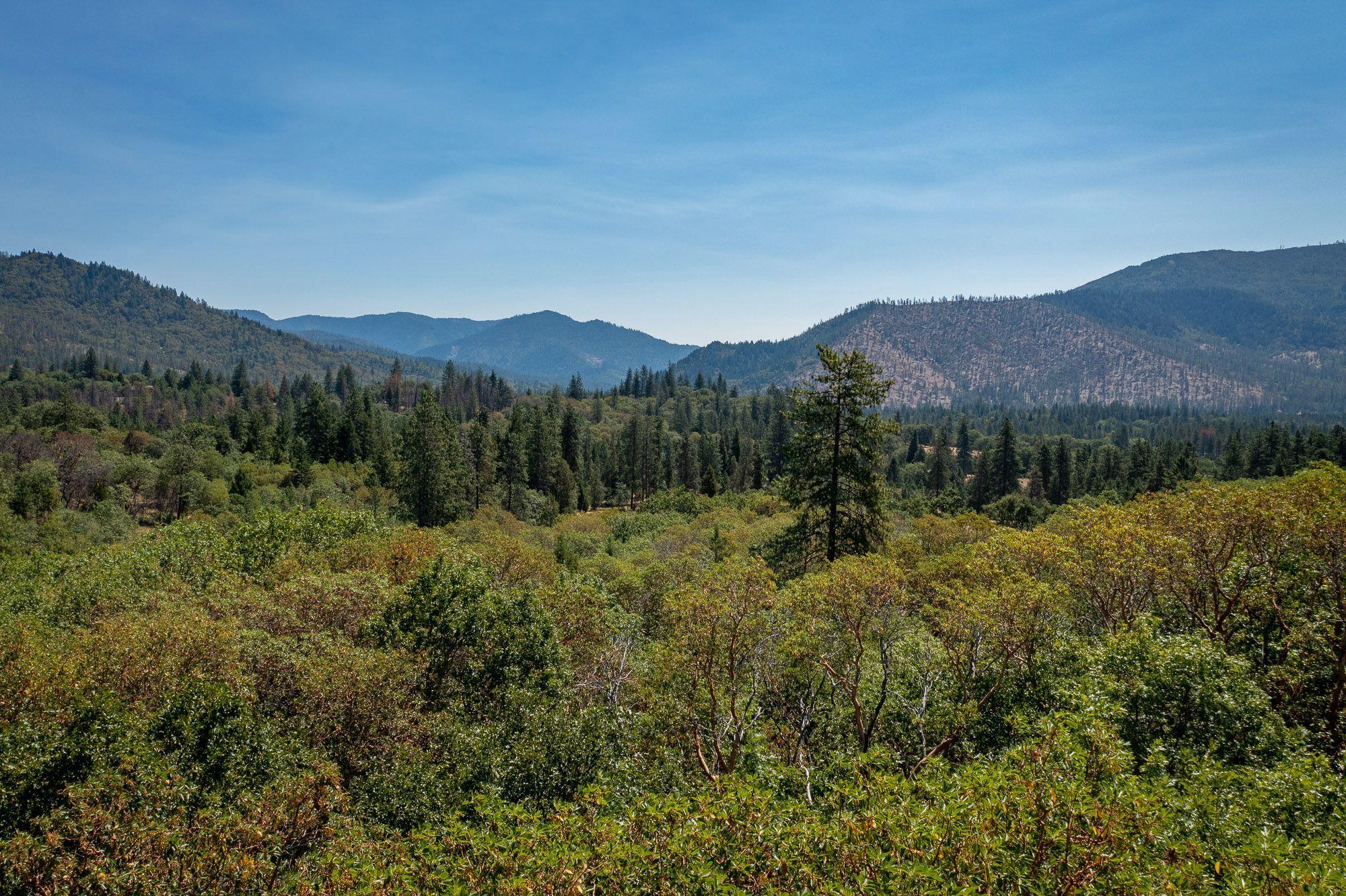 Fir Crest Estates - Residential