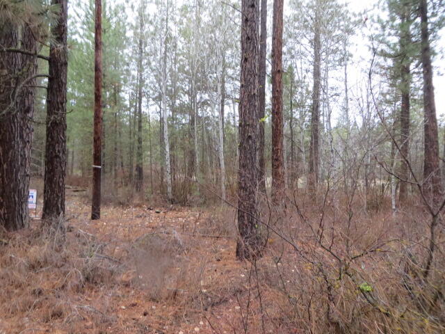 Frontier Tracts - Land