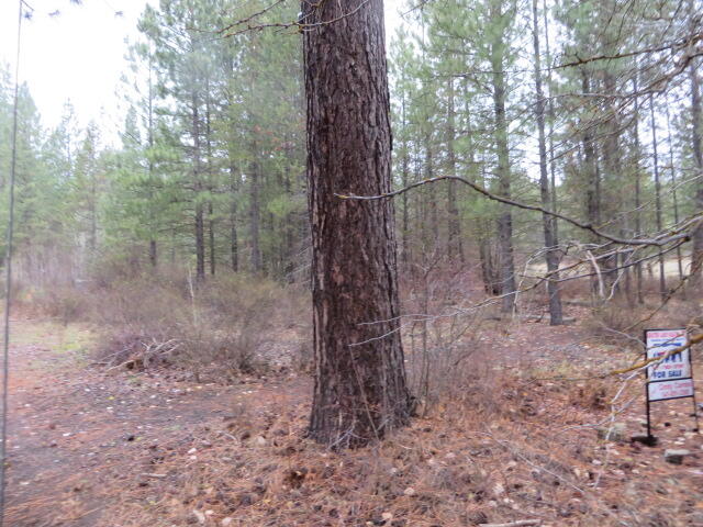 Frontier Tracts - Land