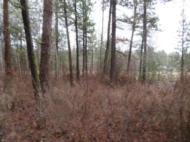 Frontier Tracts - Land