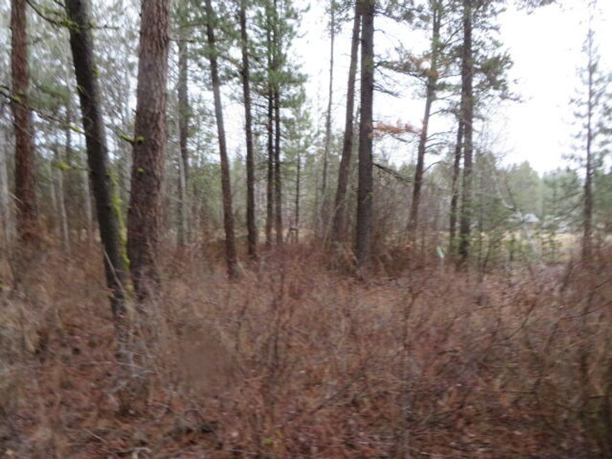 Come and camp at Rocky Point, lots of recreationL opportunities at Rocky Point and Lake of the Woods.  Two lots on N Street, .22 of an acre with large Gov. land meadow next door to walk or play on, Zoned residential, will need to drill well and install septic.  Bring your Rv to camp-fun place for family and friends to gather.