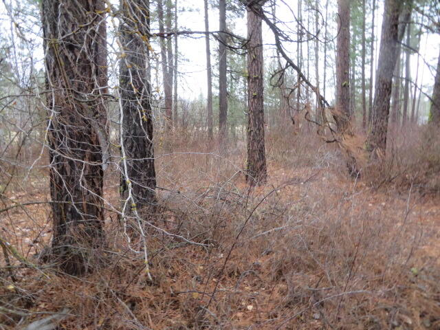 Frontier Tracts - Land