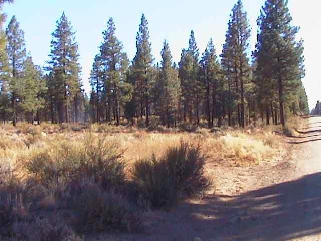 Sprague River - Land