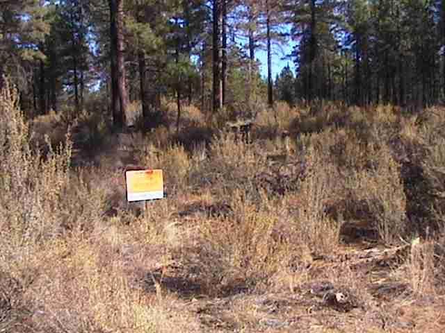 Sprague River - Land