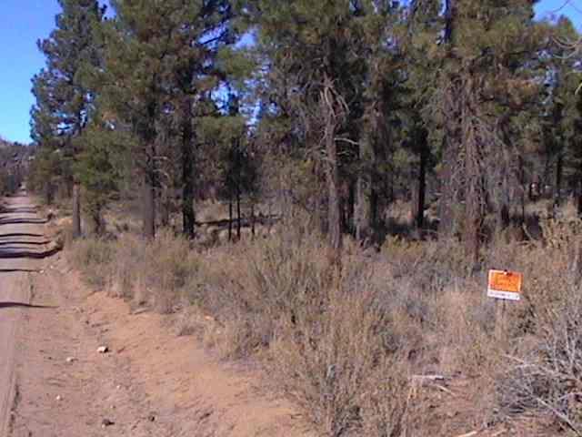 Sprague River - Land