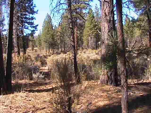 Sprague River - Land