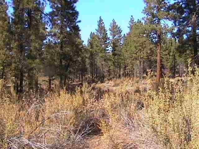 Sprague River - Land