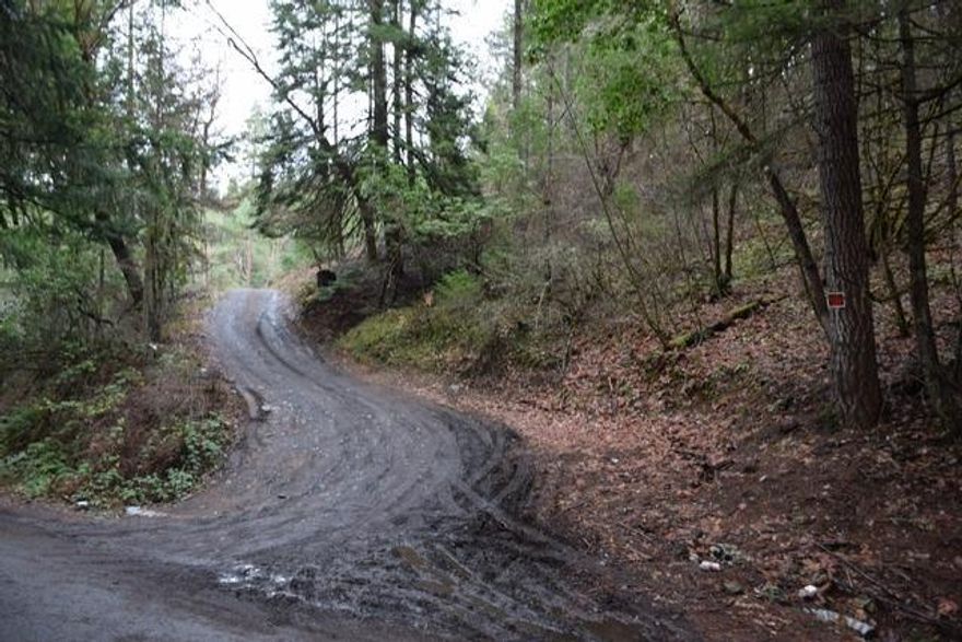 Enjoy the Oregon outdoors, 5 acres of potential homesite in the forest. Power is close for development on a RR5 zoned parcel. Great location for a tiny house.'' Had previous septic application. NO Owner Carry.