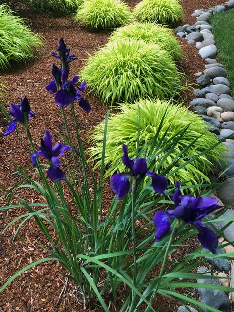 Zottola Subdivision - Residential