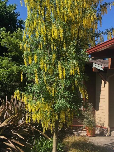 Zottola Subdivision - Residential