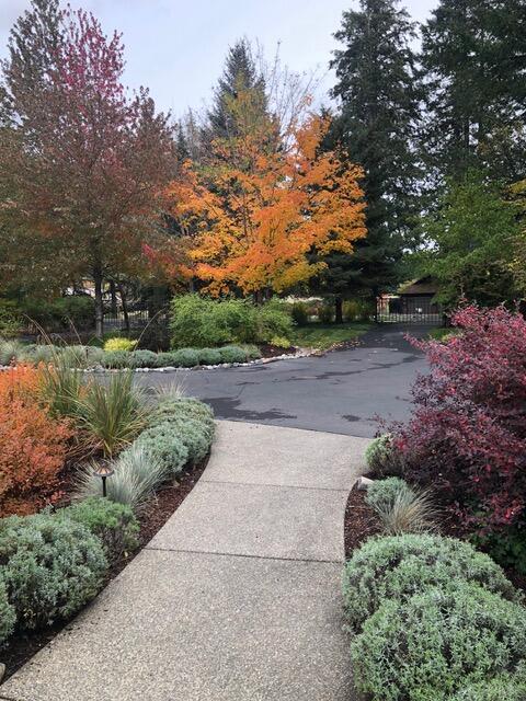 Zottola Subdivision - Residential