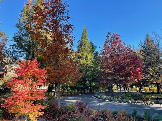 Zottola Subdivision - Residential