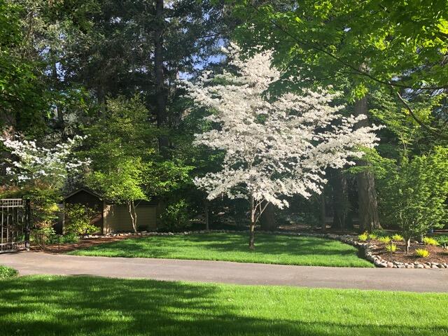 Zottola Subdivision - Residential