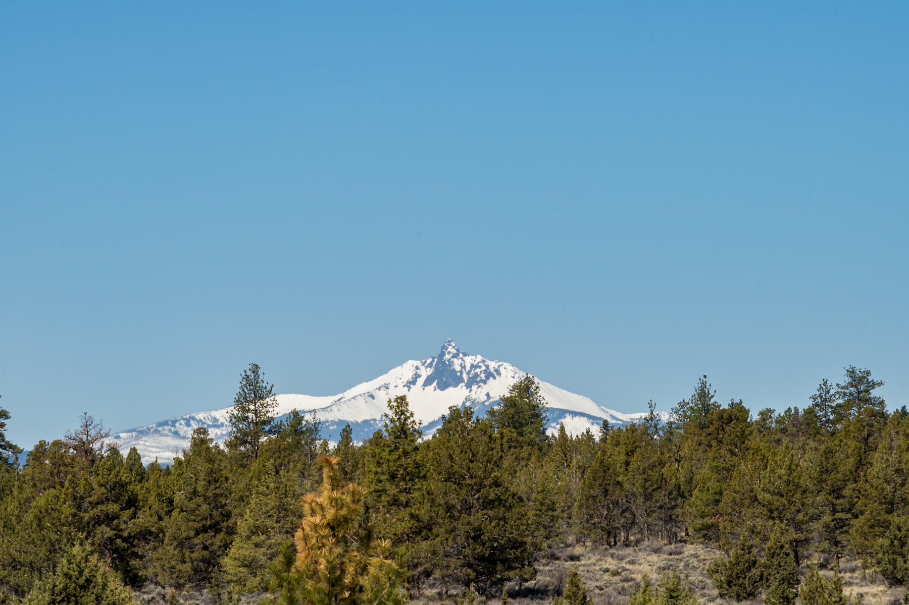 Squaw Creek Canyon - Residential