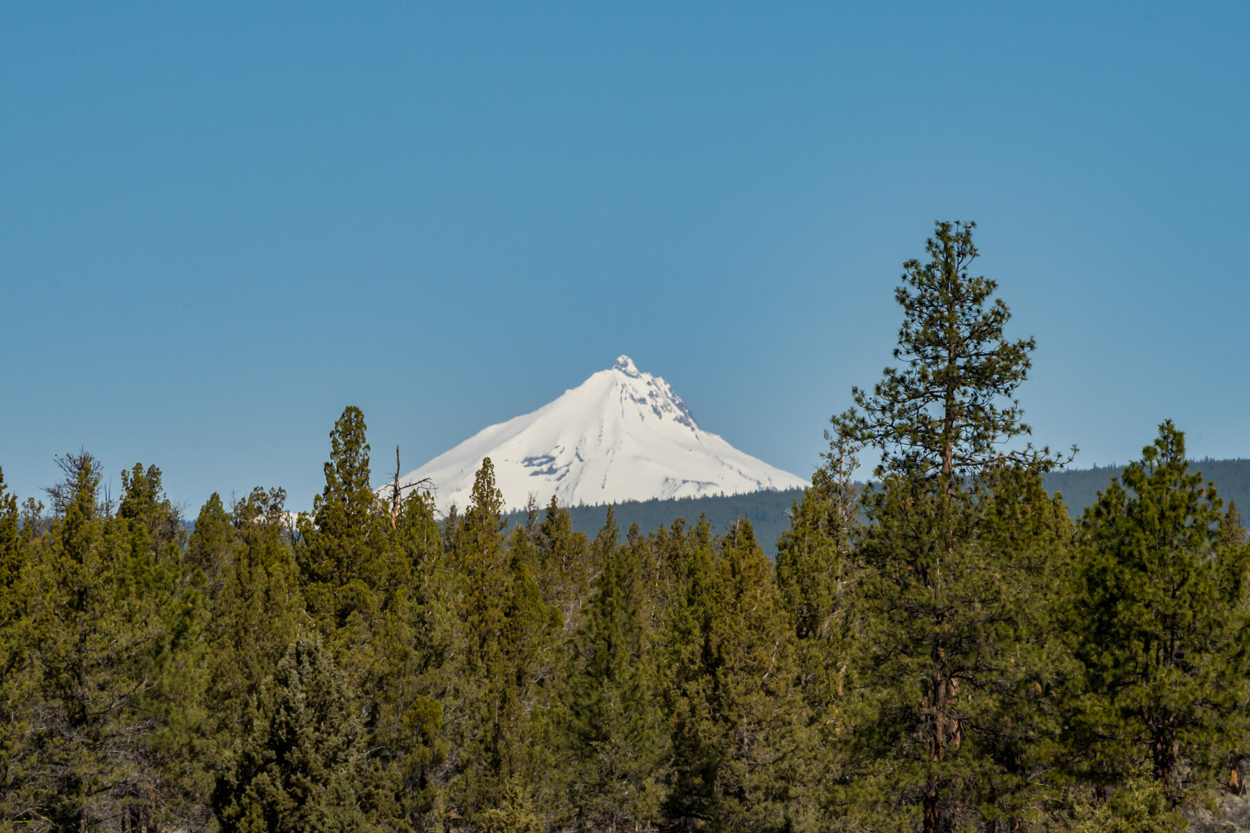 Squaw Creek Canyon - Residential