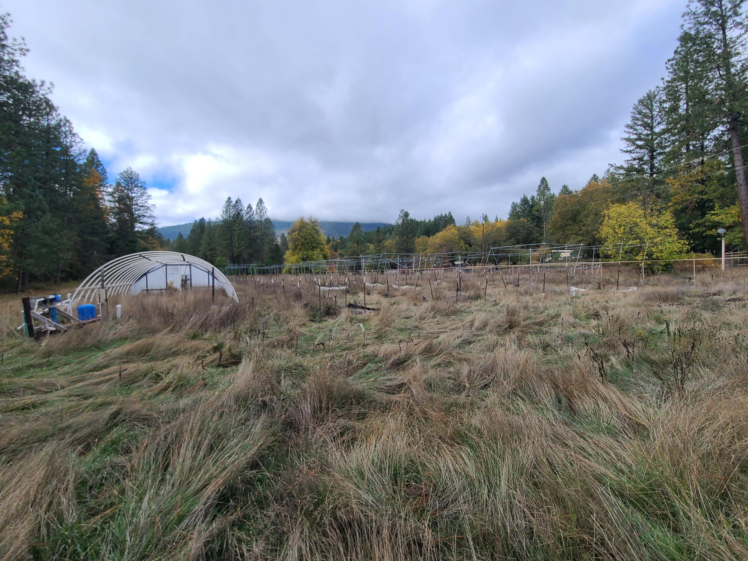 Cave Junction - Residential