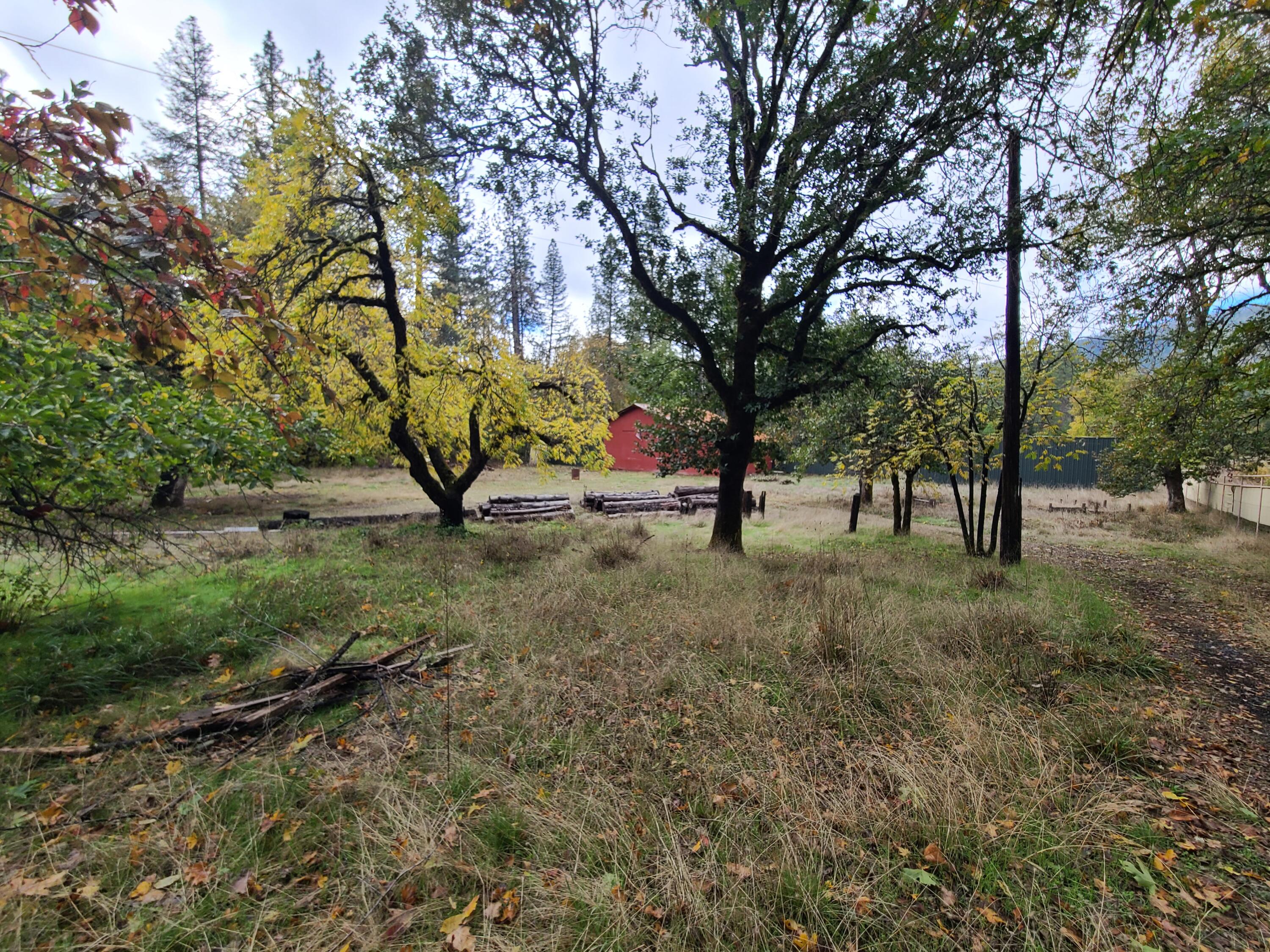 Cave Junction - Residential