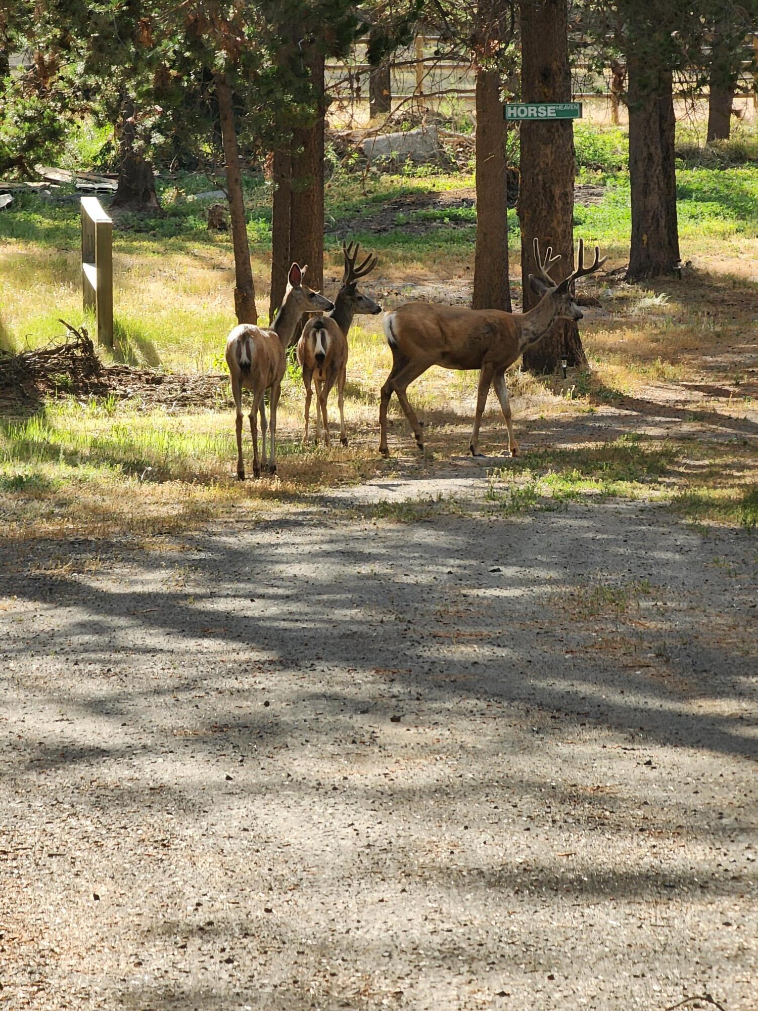 Summit Acres - Residential