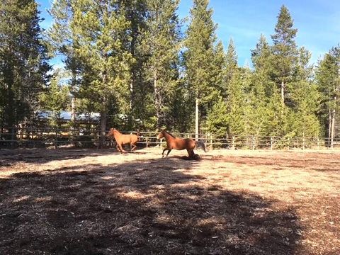 Tiny photo for 16506 Sprague Loop, La Pine, OR 97739 (MLS # 220199497)