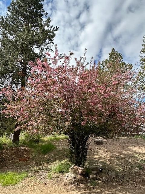 Tiny photo for 16506 Sprague Loop, La Pine, OR 97739 (MLS # 220199497)