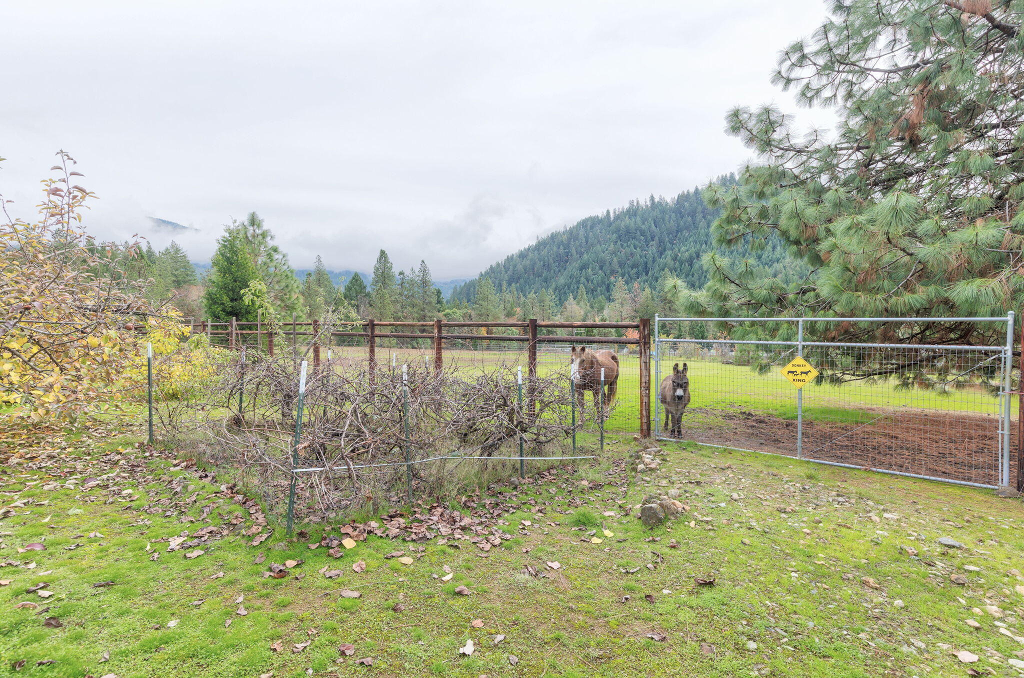 Sunny Ridge Subdivision - Residential