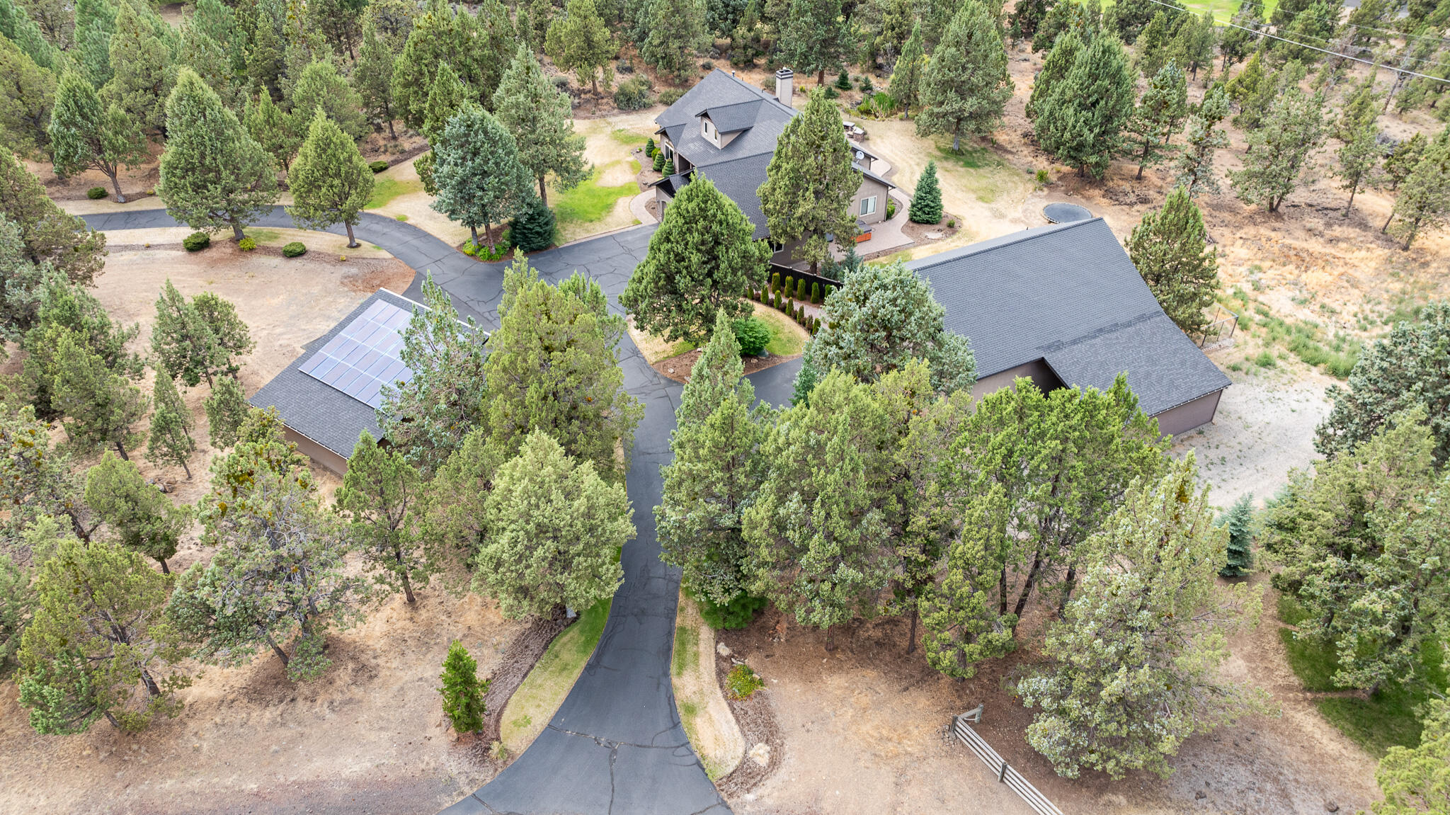 Bee Tree - Residential