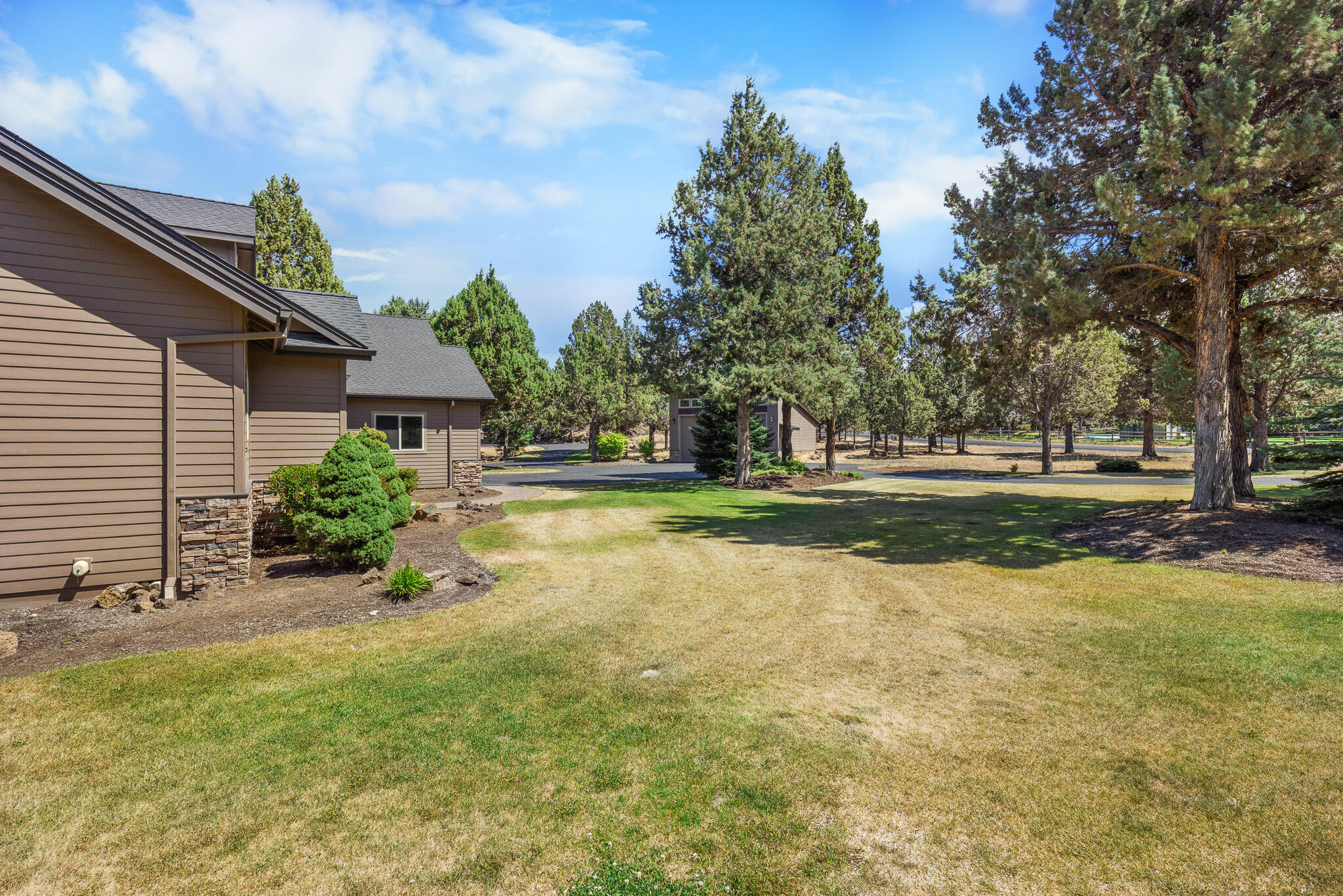 Bee Tree - Residential