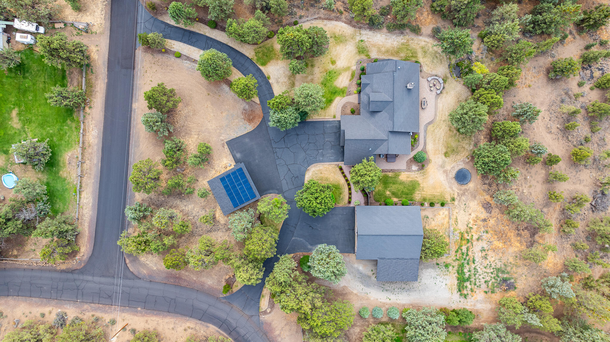 Bee Tree - Residential