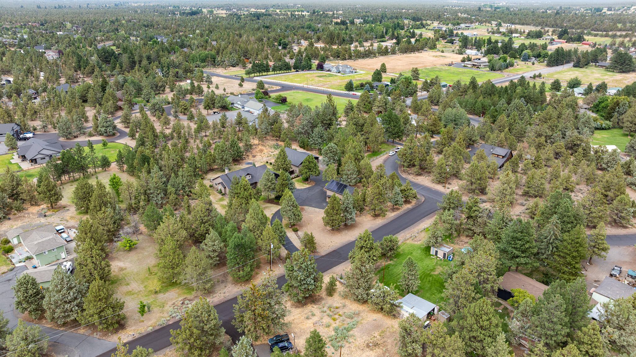 Bee Tree - Residential