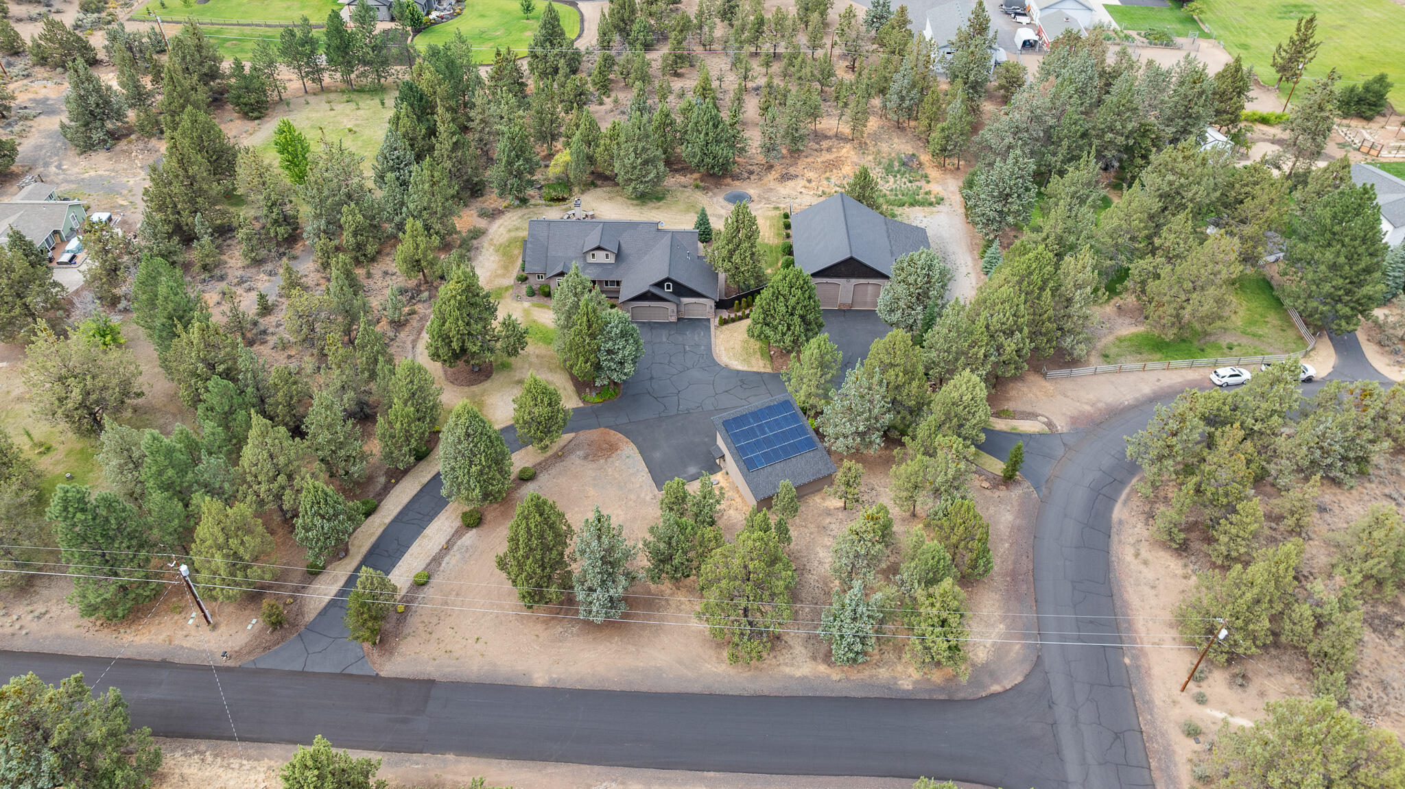 Bee Tree - Residential