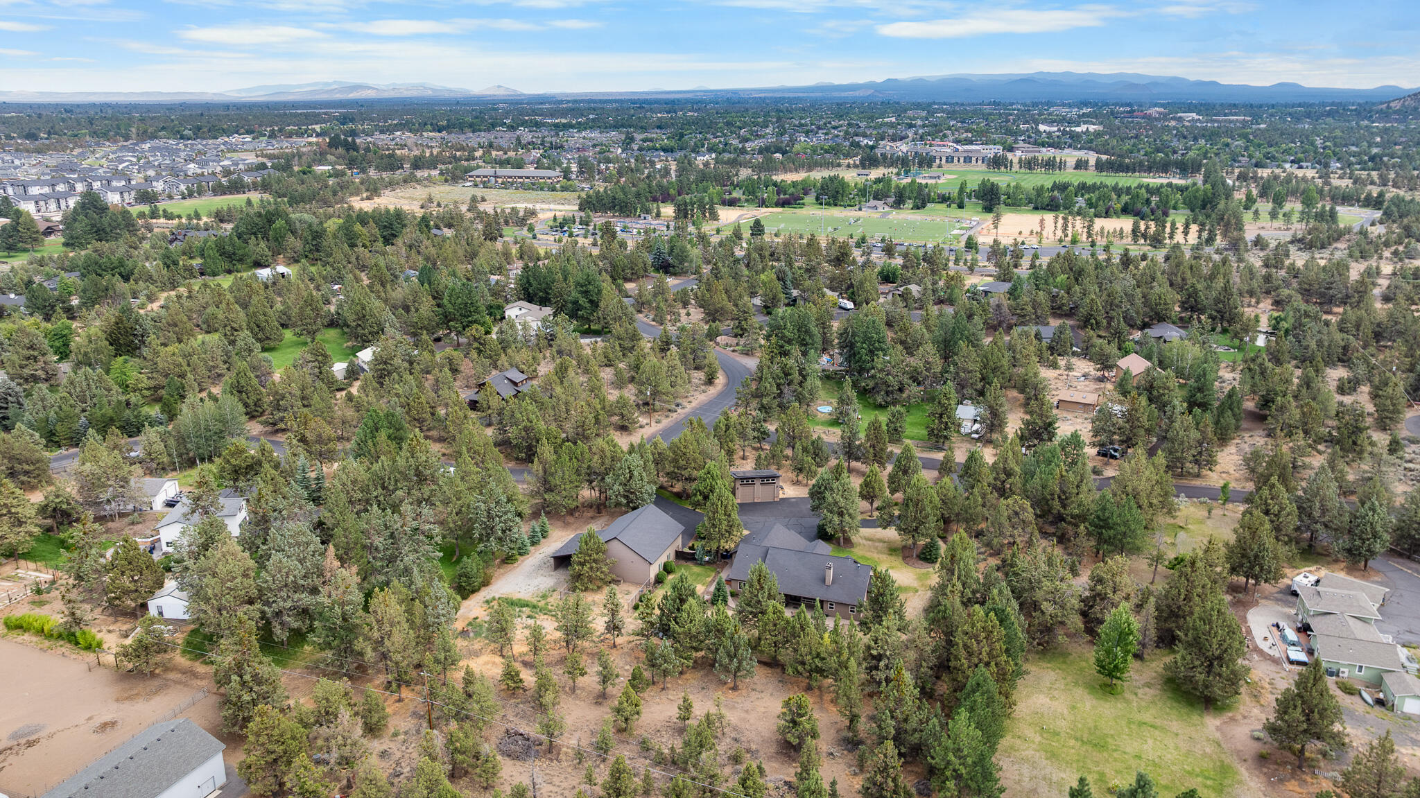 Bee Tree - Residential