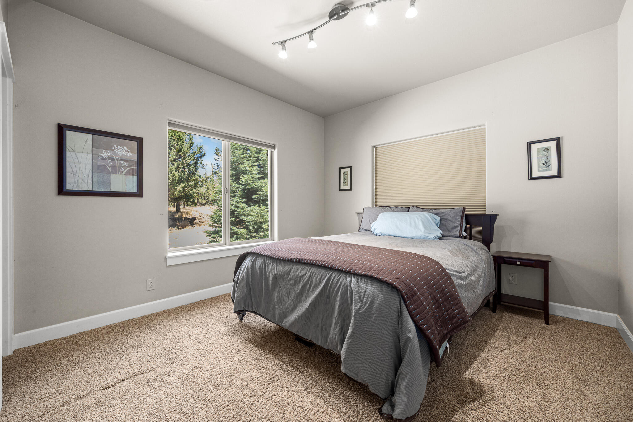 Bee Tree - Residential