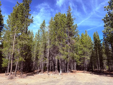 Tiny photo for 0 TBD Mc Neale Drive, Crescent Lake, OR 97733 (MLS # 220217308)