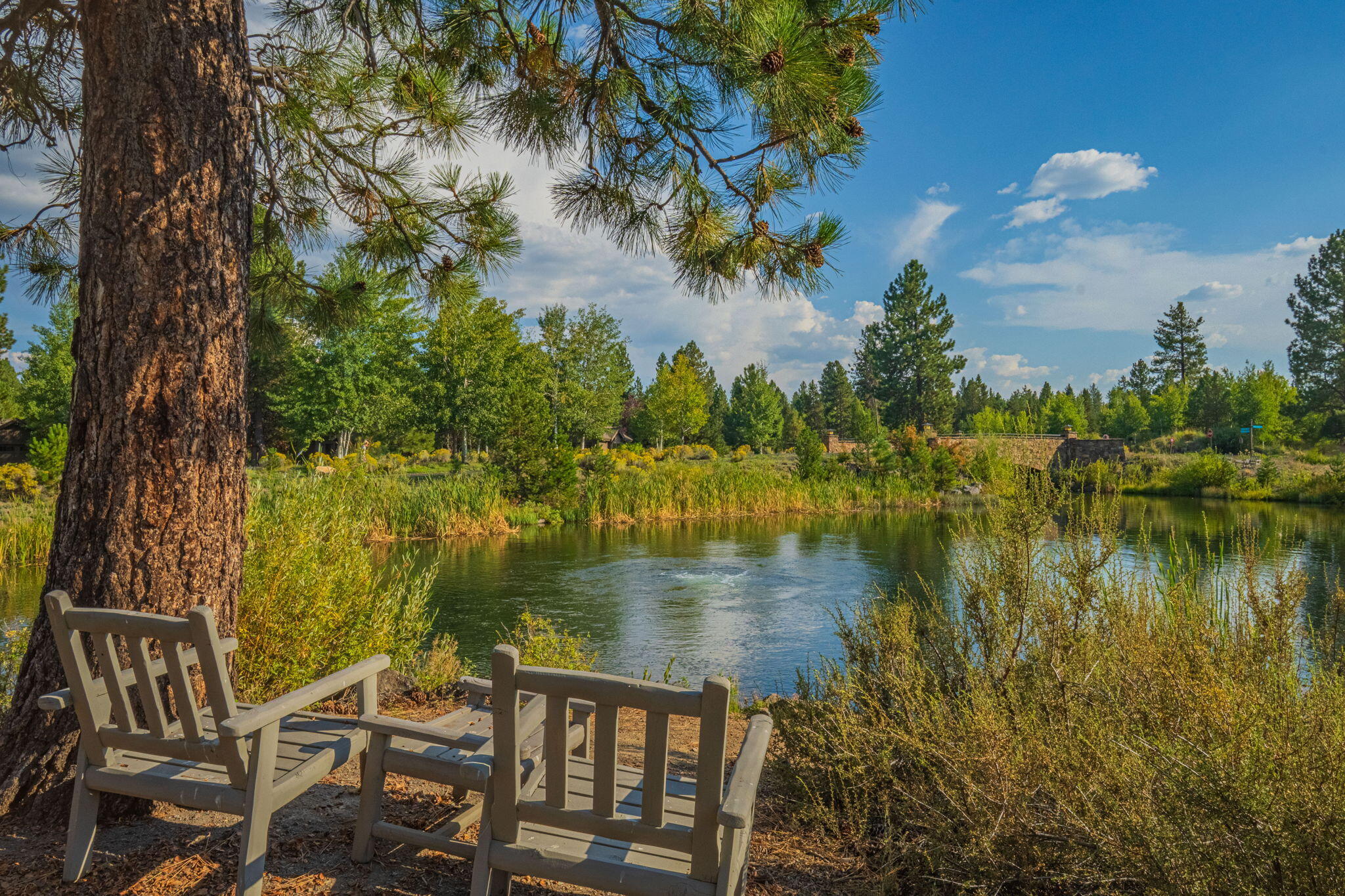 Caldera Springs - Residential