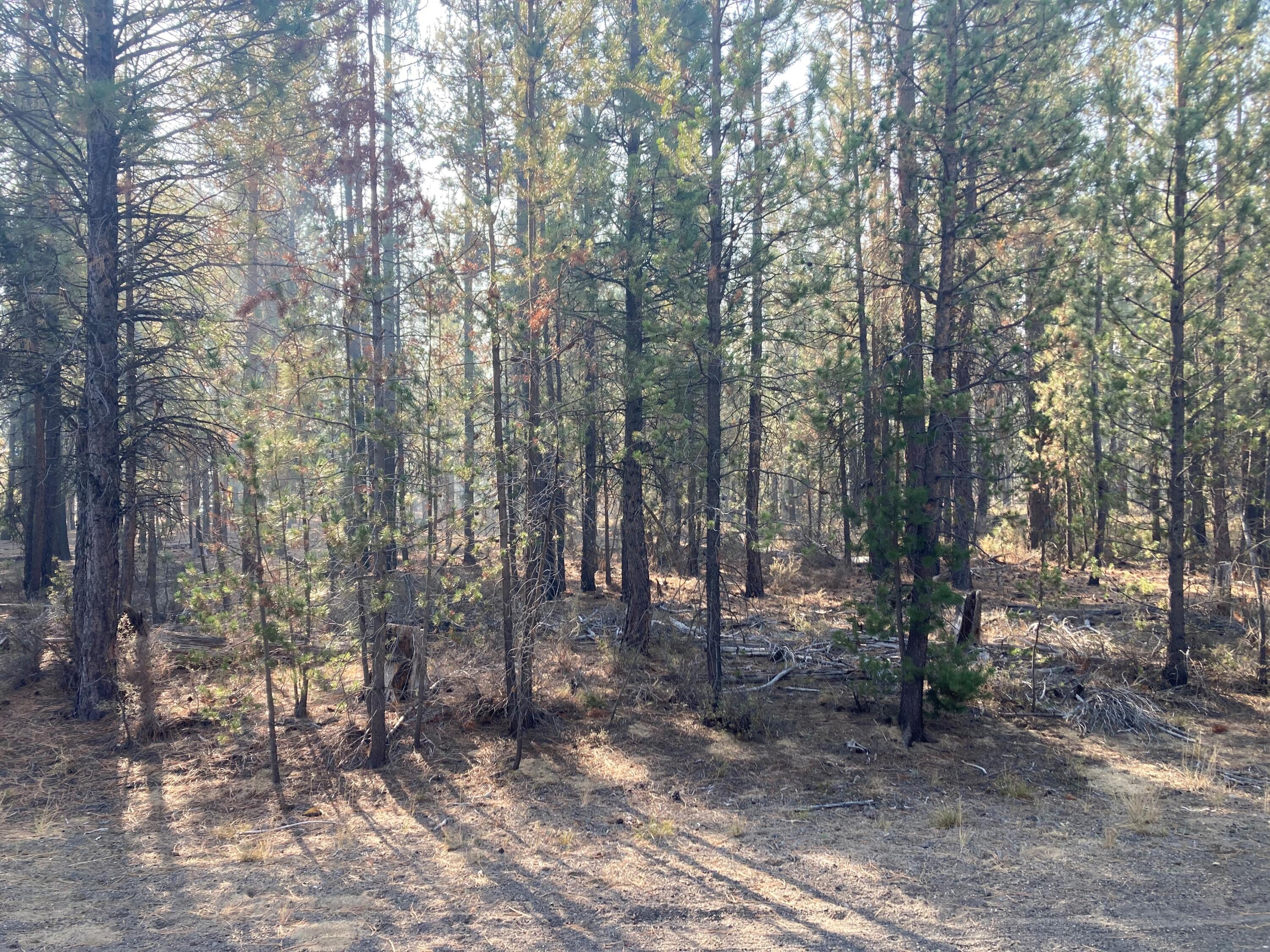 Deer Forest Acres - Land