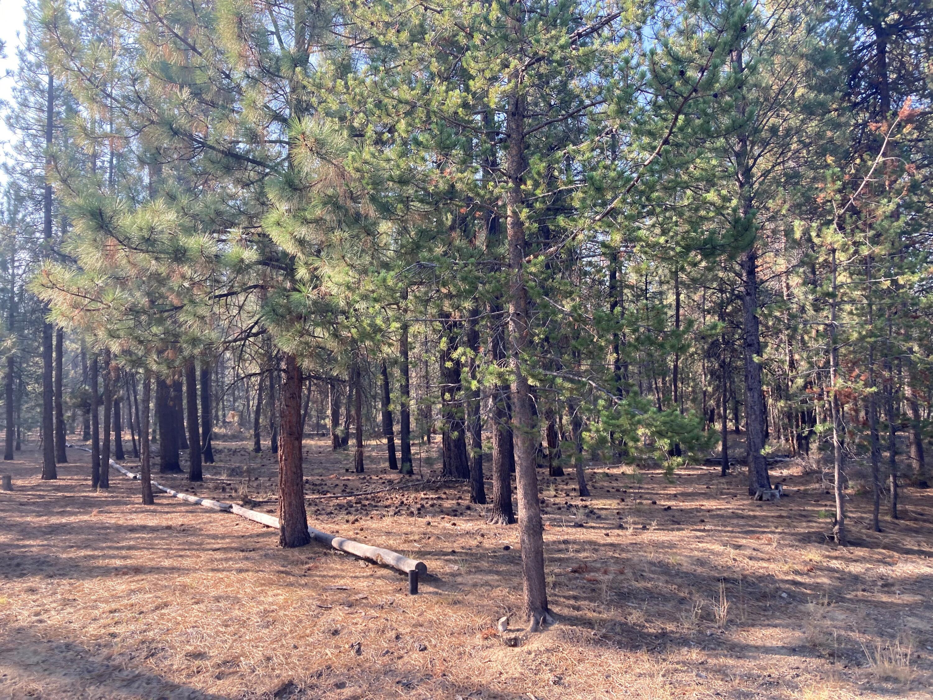 Deer Forest Acres - Land