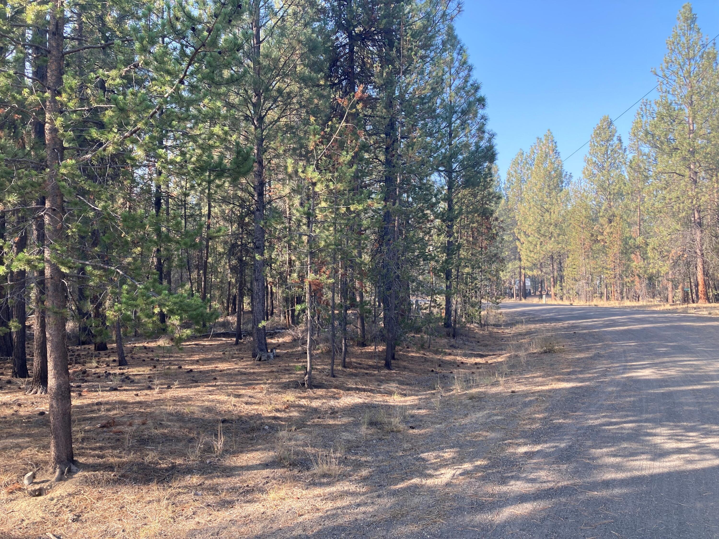 Deer Forest Acres - Land