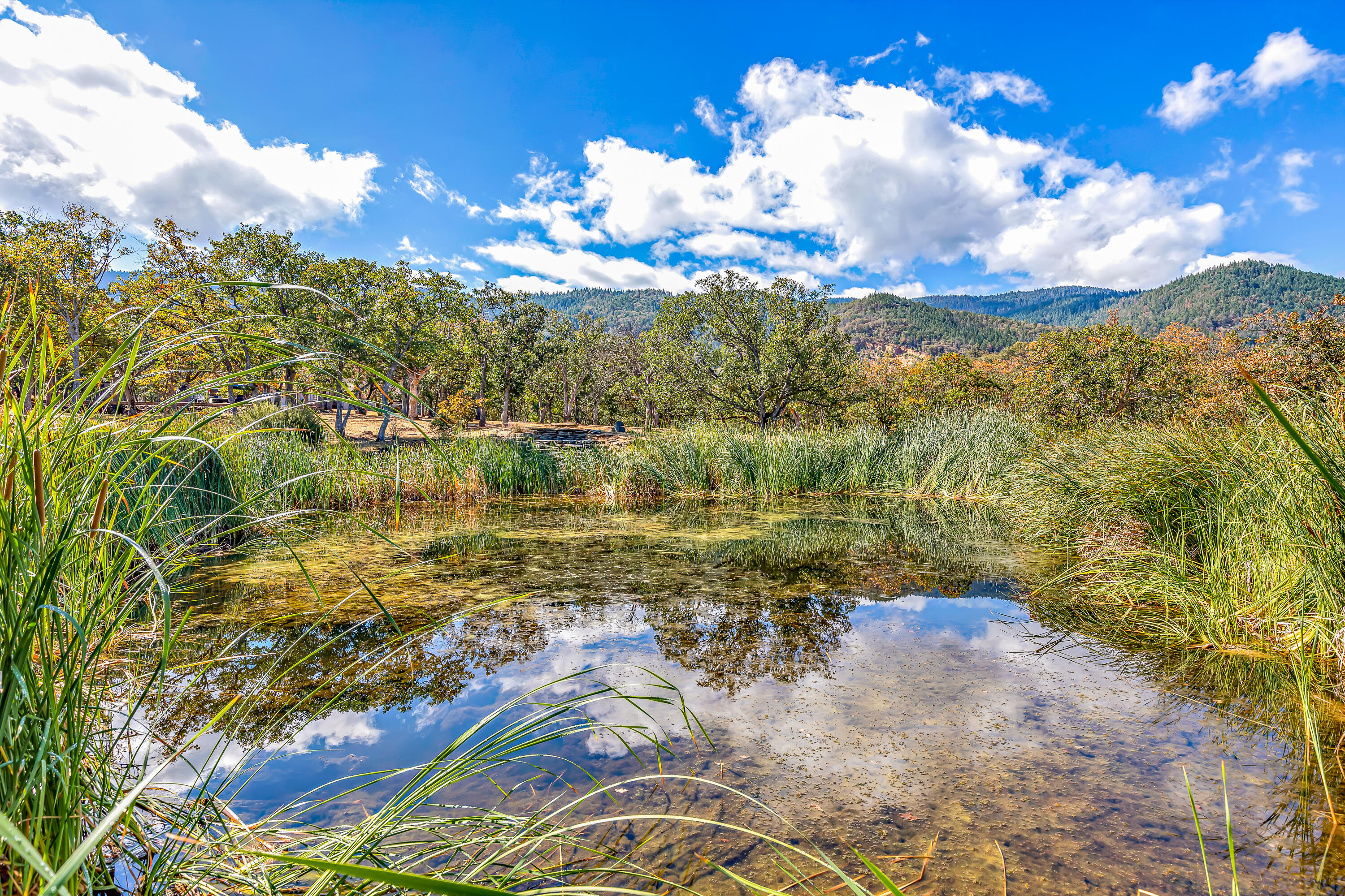 Sunny Oaks Subdivision - Residential