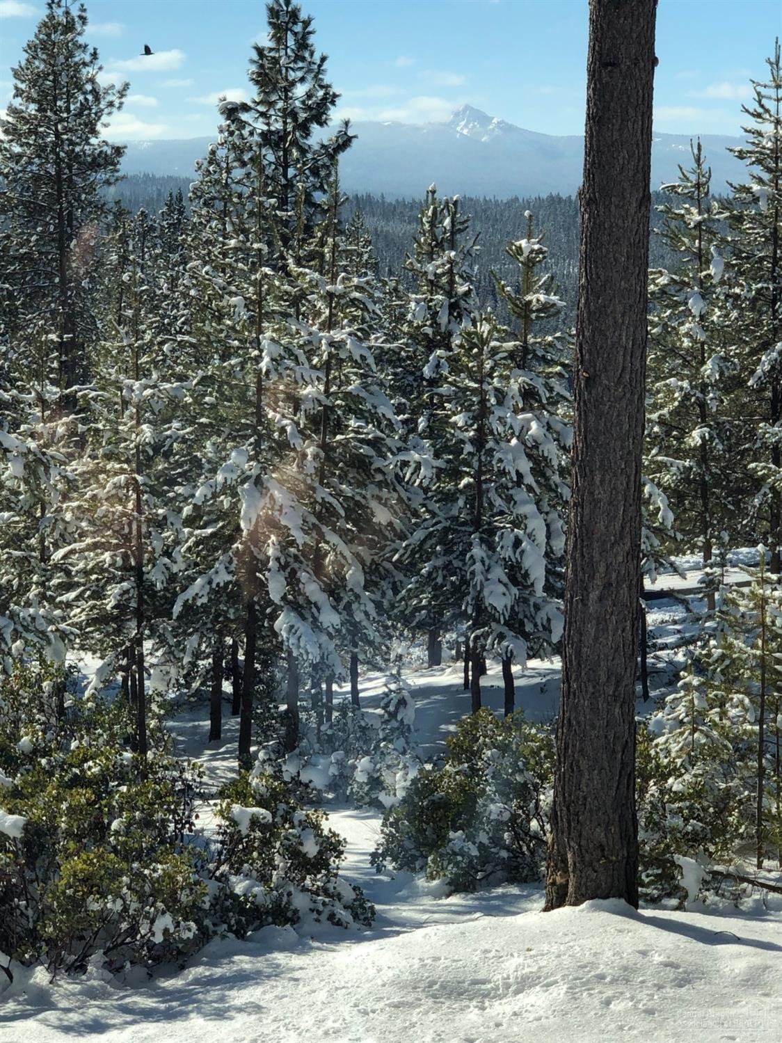 Diamond Peaks - Residential