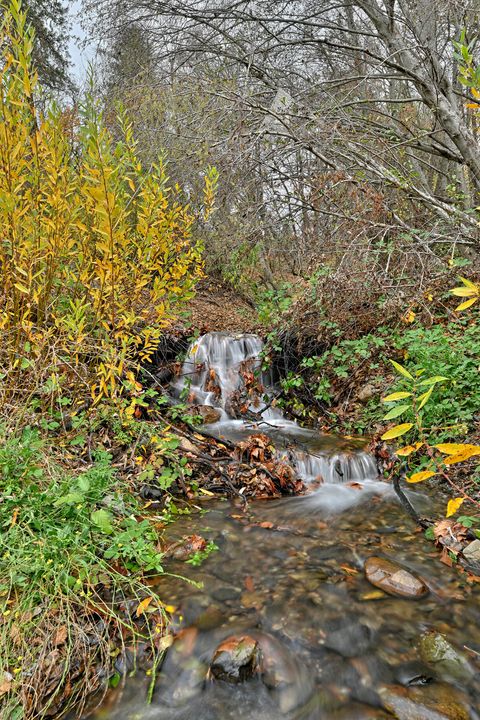 Tiny photo for 4866 Galice Road, Merlin, OR 97532 (MLS # 220212249)