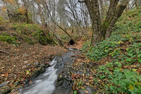 Tiny photo for 4866 Galice Road, Merlin, OR 97532 (MLS # 220212249)