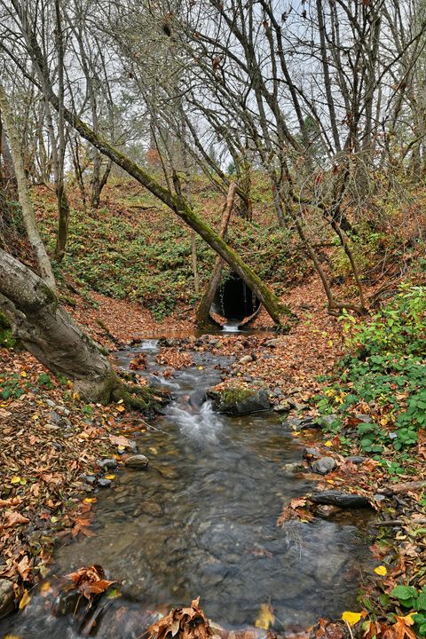 Tiny photo for 4866 Galice Road, Merlin, OR 97532 (MLS # 220212249)